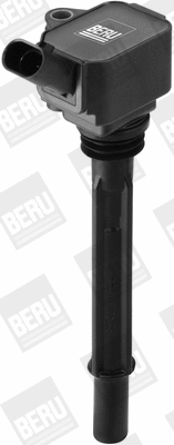 Ignition Coil (WG2202670)