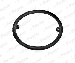 Seal Ring, oil cooler (WG2171474)