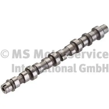 Camshaft (WG1380618)