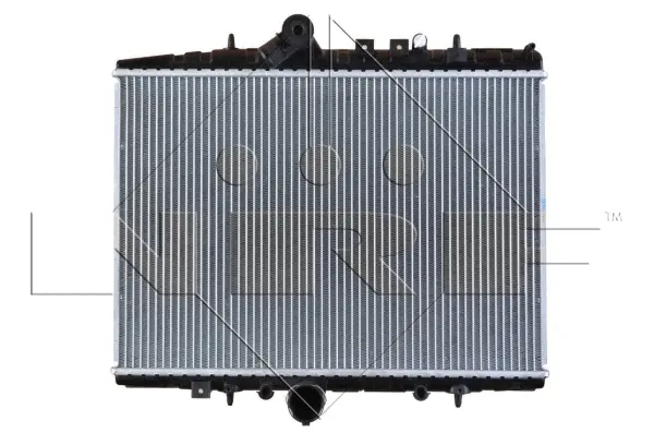 Radiator, engine cooling (WG1723311)