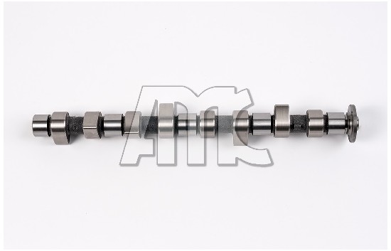 Camshaft (WG1011541)