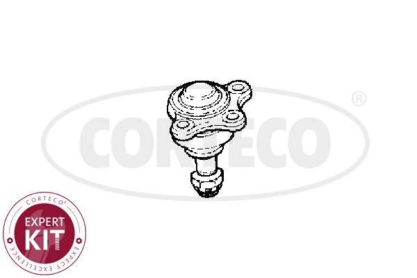 Ball Joint (WG2292131)