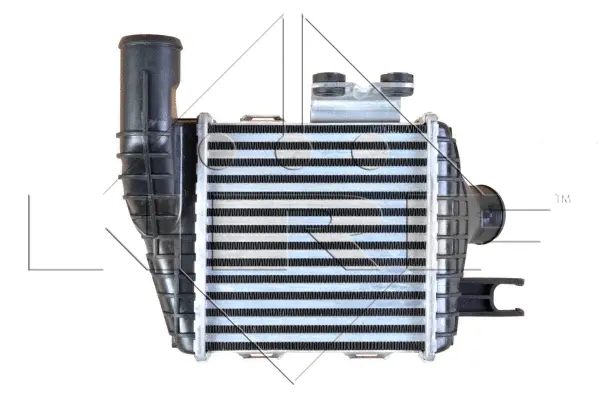 Charge Air Cooler (WG1723923)
