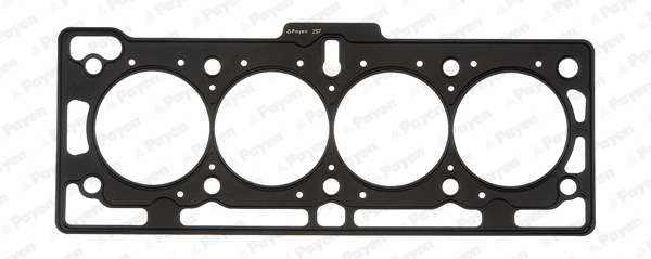 Gasket, cylinder head (WG1176634)