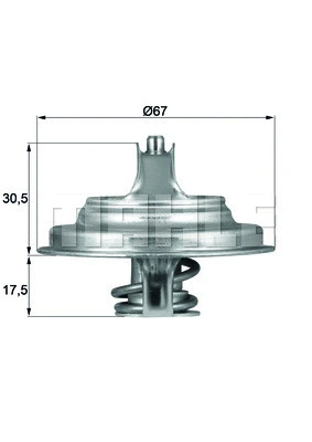 Thermostat, coolant (WG1261802)