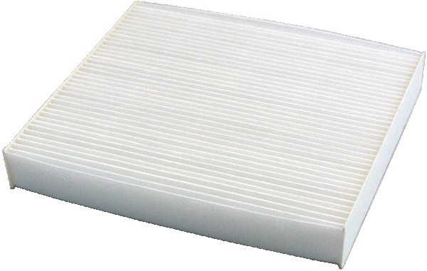Filter, cabin air (WG1014684)