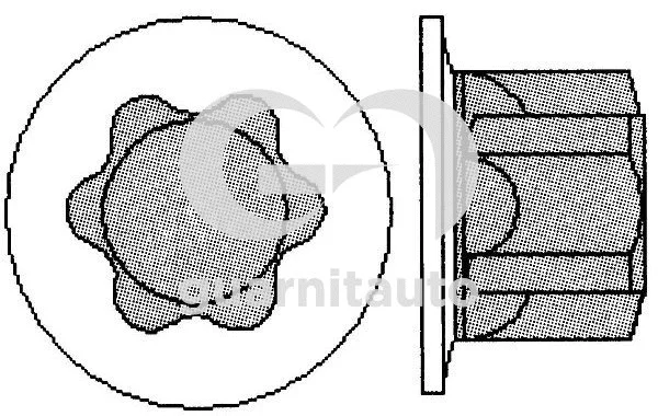 Cylinder Head Bolt Set (WG2135130)