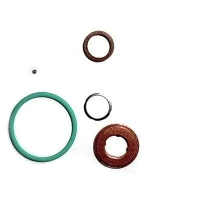 Repair Kit, injection nozzle (WG2263520)