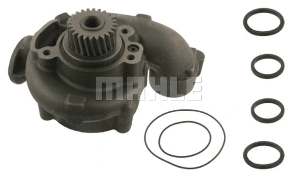 Water Pump, engine cooling (WG2181915)