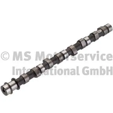 Camshaft (WG1017651)