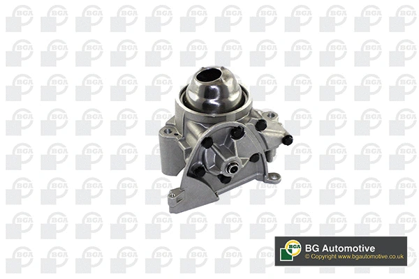 Oil Pump (WG1489917)