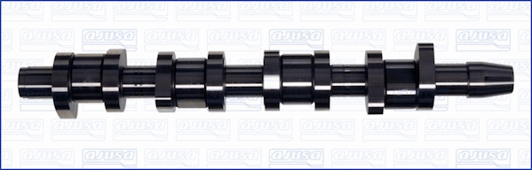 Camshaft (WG1456822)