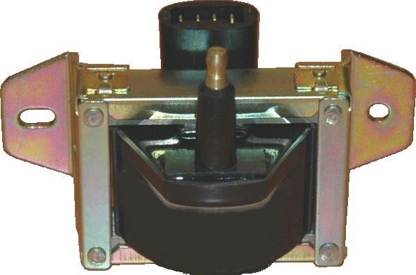 Ignition Coil (WG1012302)