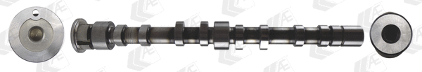 Camshaft (WG1939156)