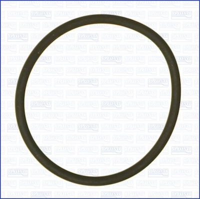 Gasket, fuel pump (WG2081107)
