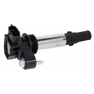 Ignition Coil (WG1498856)
