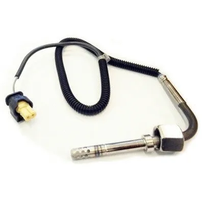 Sensor, exhaust gas temperature (WG1268353)