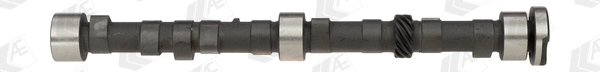 Camshaft (WG1171841)
