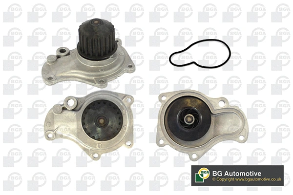 Water Pump, engine cooling (WG1489259)