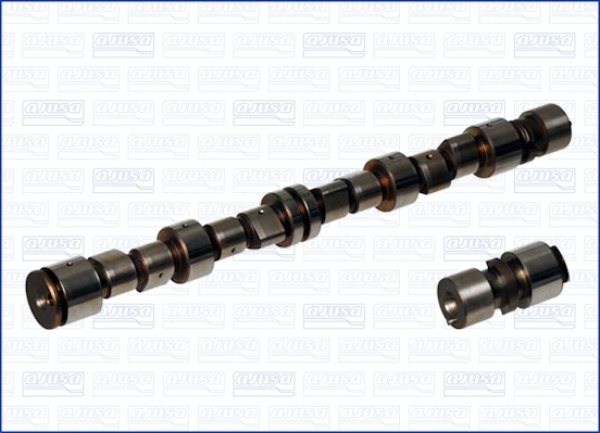 Camshaft (WG1170908)