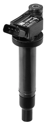 Ignition Coil (WG1487634)