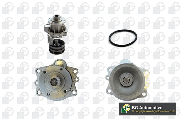 Water Pump, engine cooling (WG1941063)