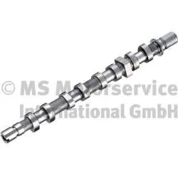 Camshaft (WG1967124)