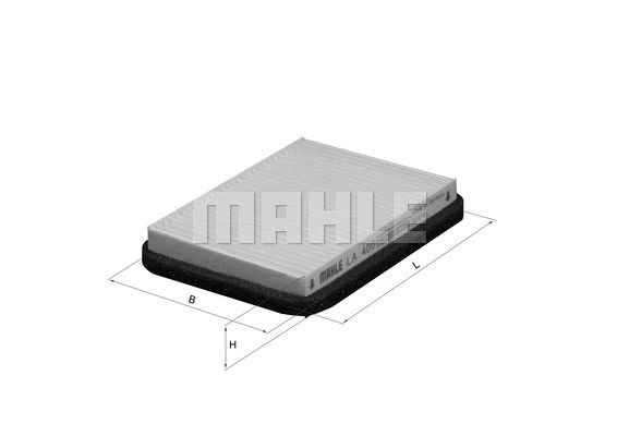 Filter, cabin air (WG1215399)
