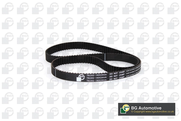 Timing Belt (WG2258600)