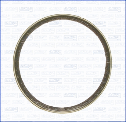 Seal Ring, exhaust pipe (WG1163697)