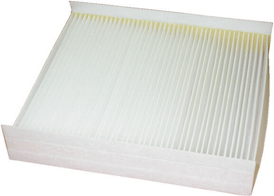 Filter, cabin air (WG1746889)