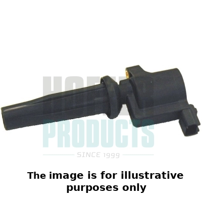 Ignition Coil (WG1905306)