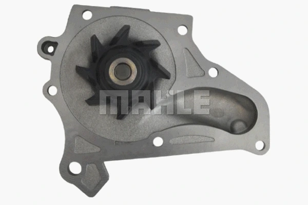 Water Pump, engine cooling (WG2181315)