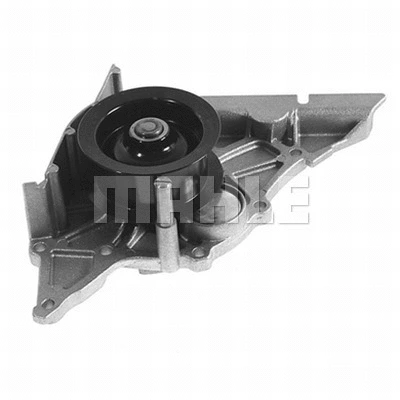 Water Pump, engine cooling (WG2181365)