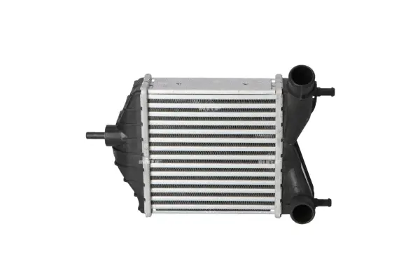 Charge Air Cooler (WG1724112)