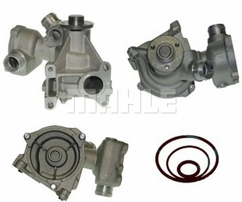 Water Pump, engine cooling (WG2181561)