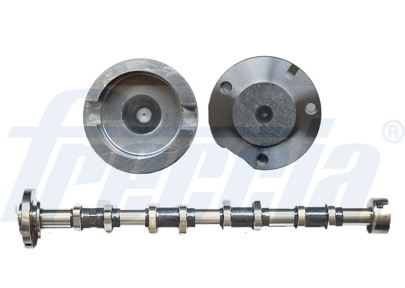 Camshaft (WG1909828)