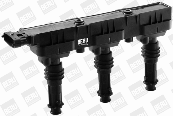 Ignition Coil (WG1487415)