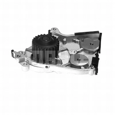 Water Pump, engine cooling (WG2181529)
