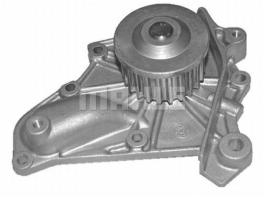 Water Pump, engine cooling (WG2181316)