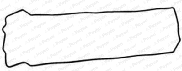 Gasket, cylinder head cover (WG2202416)