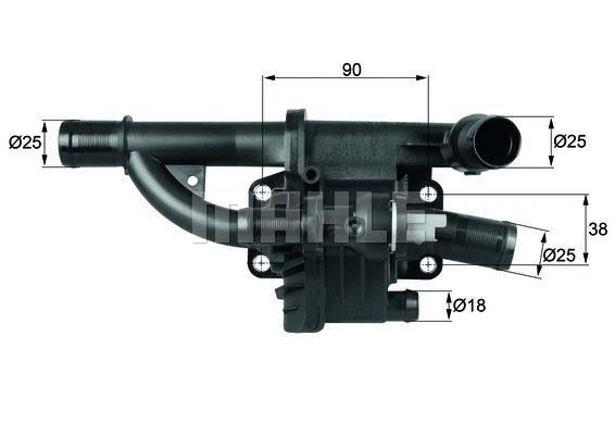 Thermostat, coolant (WG1217531)