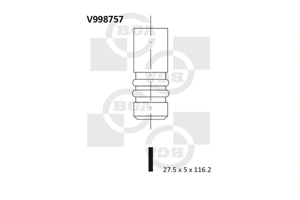 Exhaust Valve (WG1491723)