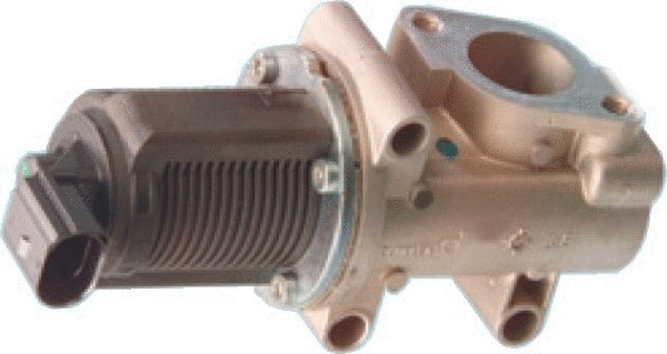 EGR Valve (WG1408636)