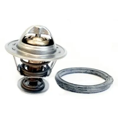 Thermostat, coolant (WG1409547)