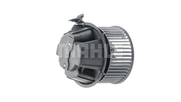 Interior Blower