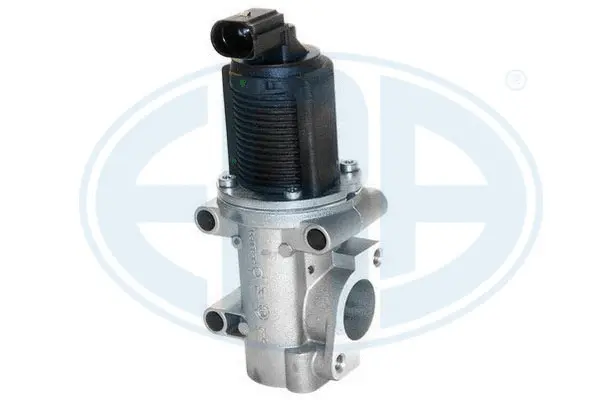 EGR Valve (WG1494472)