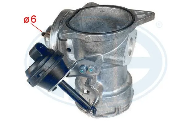 EGR Valve (WG1494533)