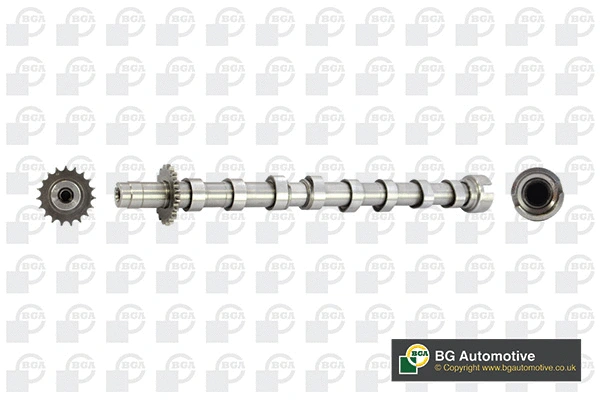 Camshaft (WG1490537)