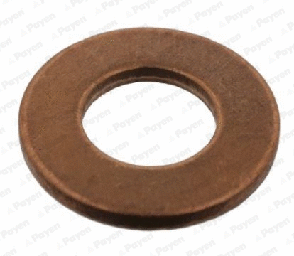 Seal Ring, oil drain plug (WG2046643)